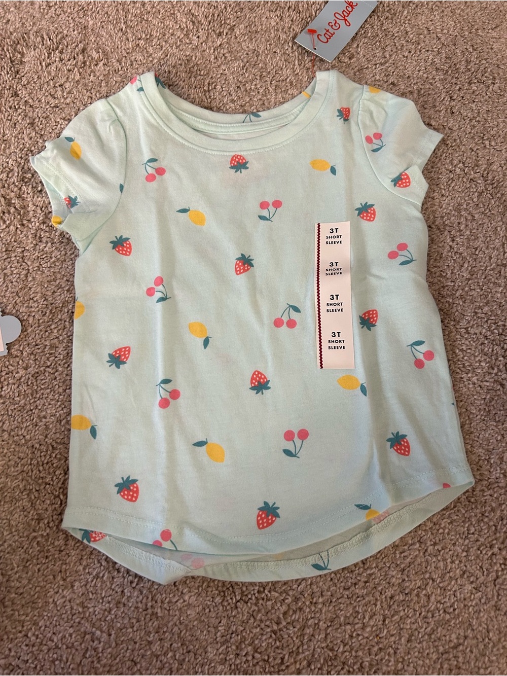 Cat & Jack 3T Fruit T-Shirt NWT